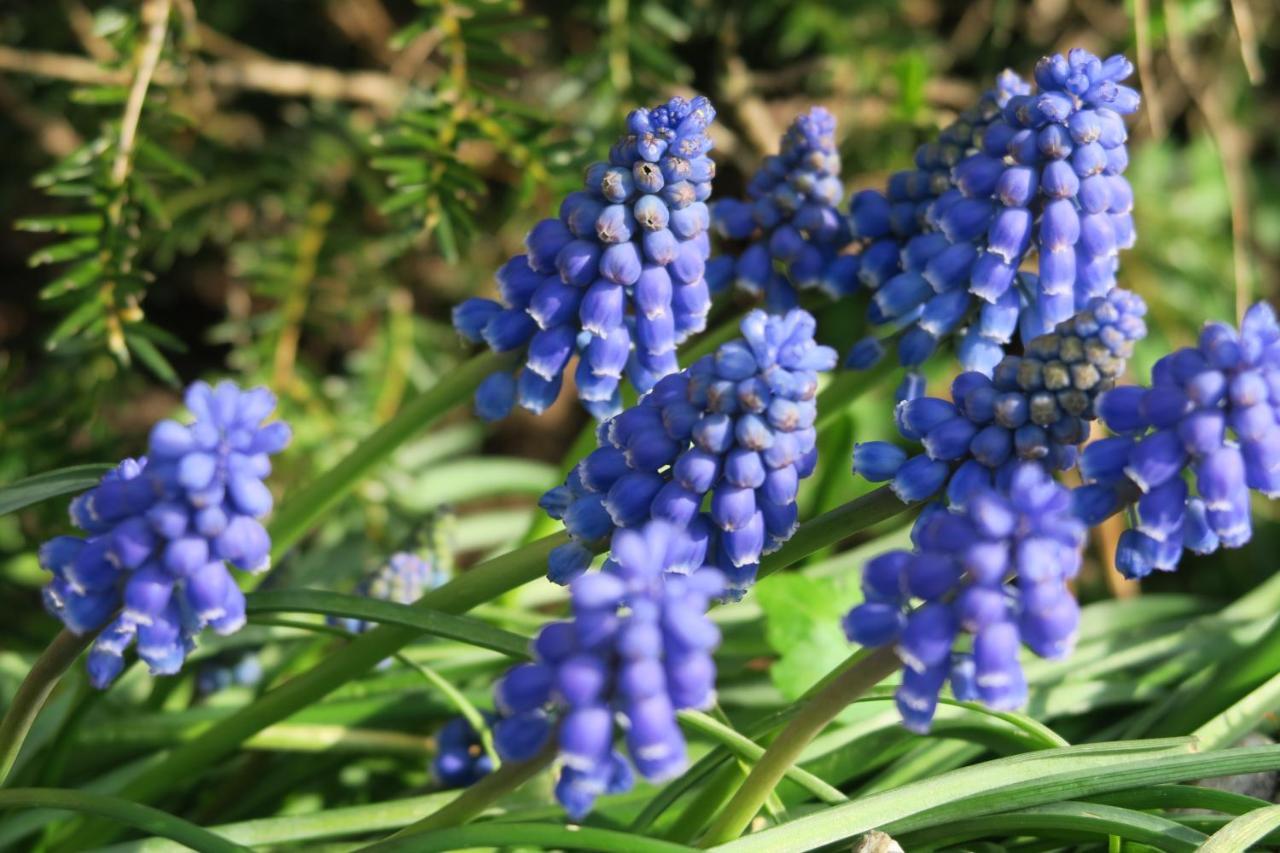 Aldoerrum Hoevelogementen Aarle-Rixtel 외부 사진